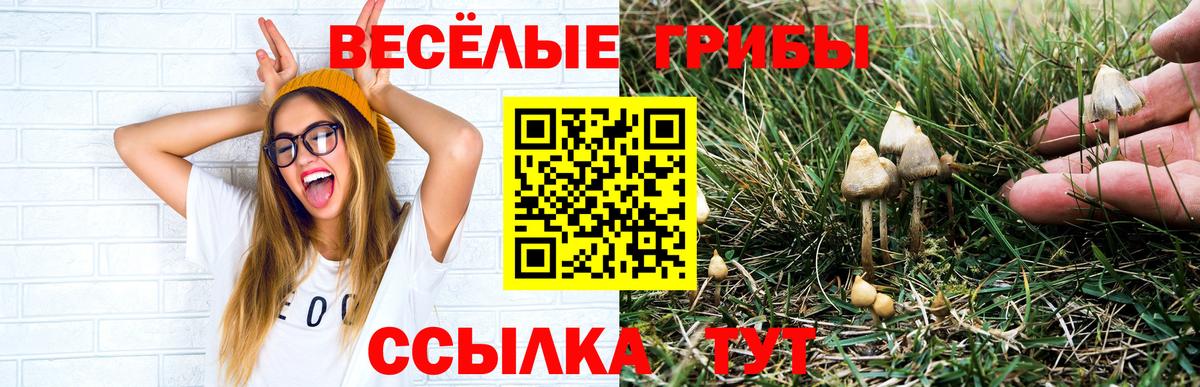 Орск  Псилоцибиновые грибы мицелий  Вход с VPN 